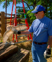 Canyon County Barn Owls 2019