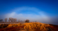 Fog bow