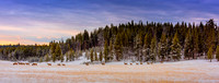 Elk Morning Commute 52 Vivezab full size