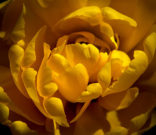 DSC_7972  ws