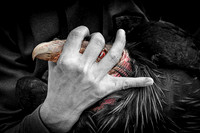 Hand of Man