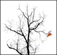 Kite in black tree ws