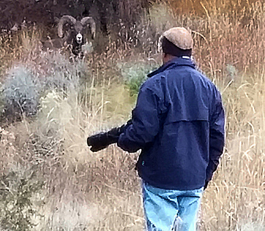 Me and Big Horn  ws