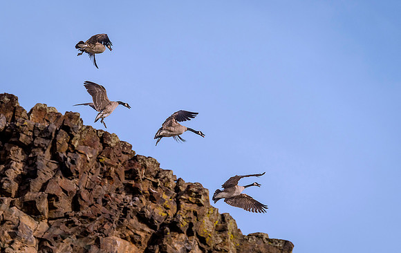 DSC_5272ws