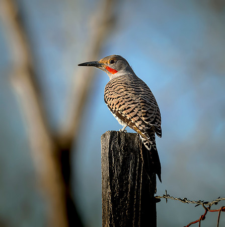 Flicker on a post ws