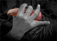 Hand of Man lores