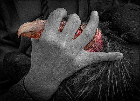 Hand of Man lores