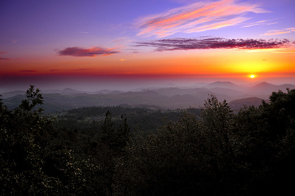 Sequoia Sunset_05 copy