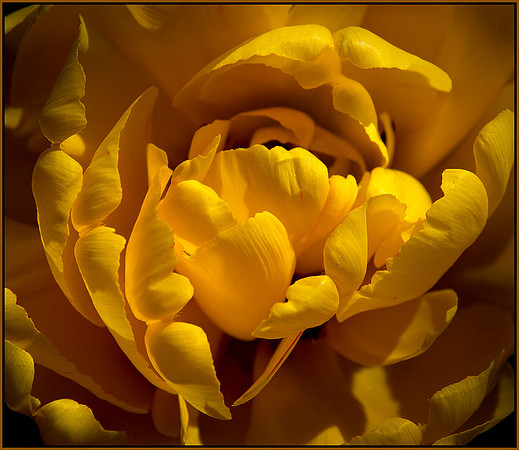 DSC_7972 ws