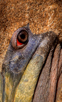 Plain Brown Wrapper 1