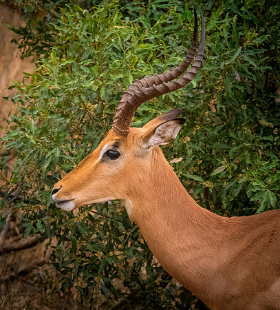 DSC_6231