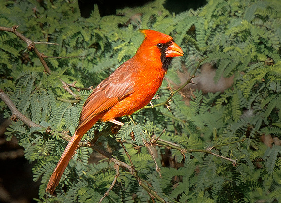 DSC_7741