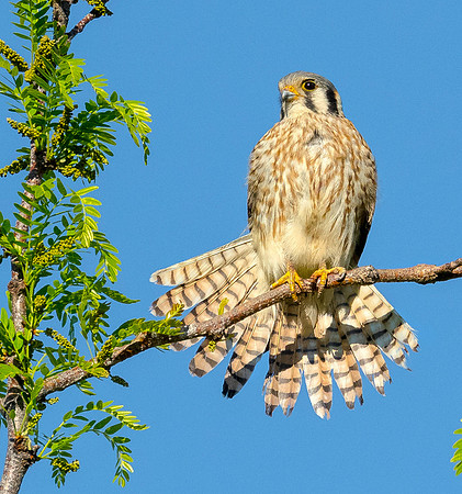 850_5785
