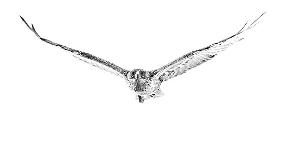 850_2812 copy