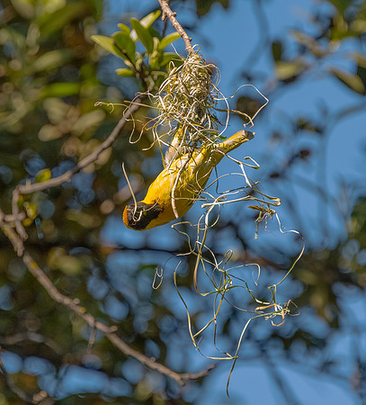 DSC_4918