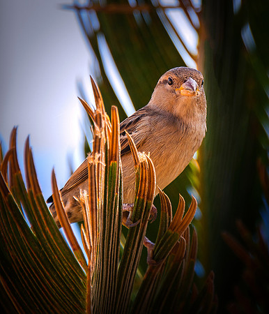 DSC_5785