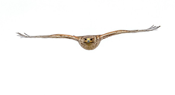 850_2741