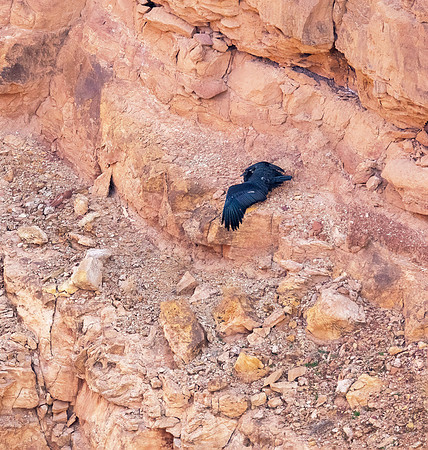 850_8675