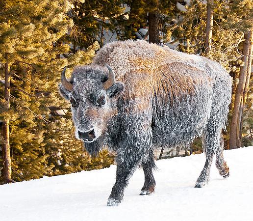 _DSC1770_2938